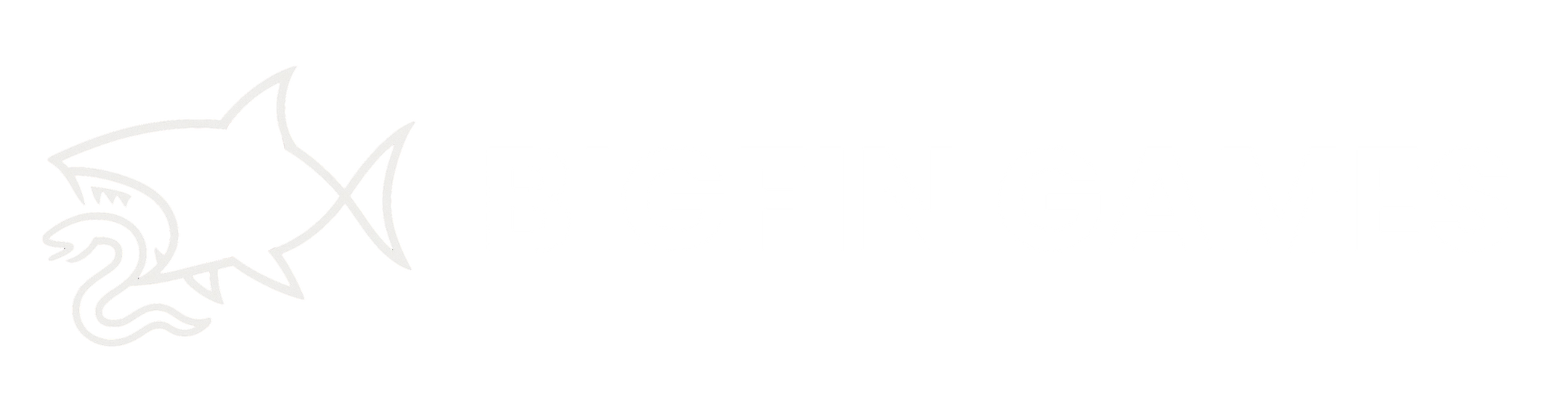 BigFinLogo (2)